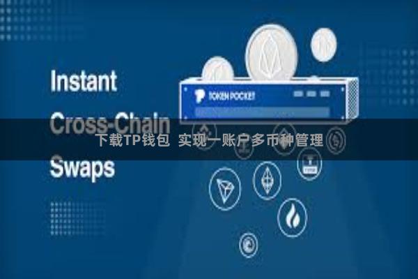 下载TP钱包  实现一账户多币种管理